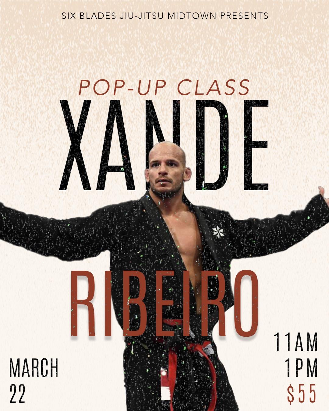 Xande Ribeiro