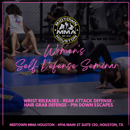 Women's Self Defense Nov 2024 (3)